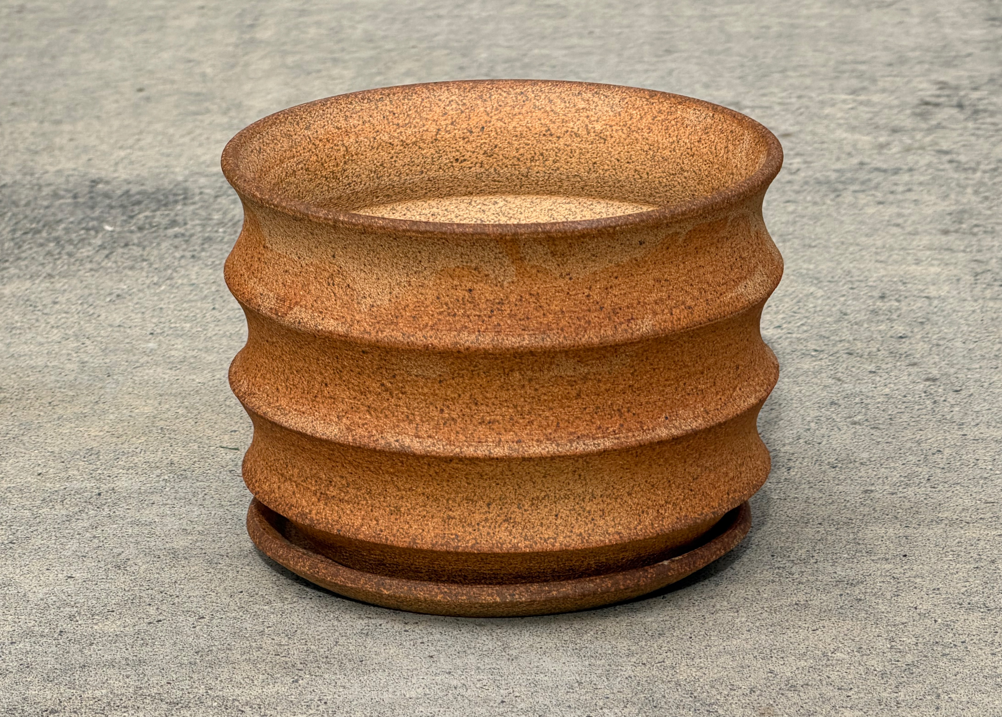 Scalloped